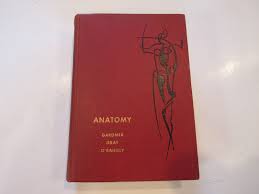 Anatomy, by Gardner, Gray and O'rahilly 1960 | eBay