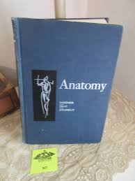 Anatomy Book - Etsy