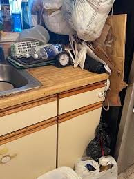 17f убираю свой срач-дом: ПРОГРЕСС НА КУХНЕ : r/CleaningTips