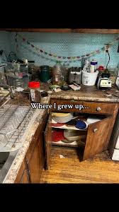 If I ever see a mouse in my house I will absolutely crash out… But in ... | where i grew up | TikTok