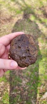 Rock I found in woods : r/whatsthisrock