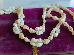 Shell Beaded Necklace Vintage - Etsy