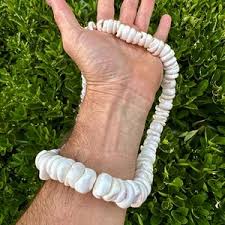 Beautiful Rare XXL Hawaiian Puka Shell Over the Head Lei ...