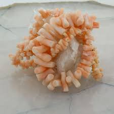 Coral Branch Necklace with 14K Yellow Gold Clasp Circa 1970 ...