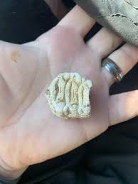 Barnhart Texas : r/whatsthisrock