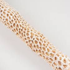 Duvo+ Kaktus-Sitzstange braun für Vögel - Krallen ...