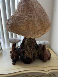 Vintage Unique Mushroom LARGE SET of Burl Wood Tree And ...