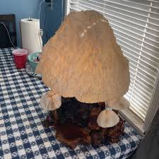 Vintage Mushroom Lamp (Real Wood & Coral Shades)