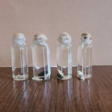 Spell Jars - Inspired Homemaker