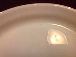 Vintage Termocrisa 12" Platter White Glass bluish grey tinge | eBay