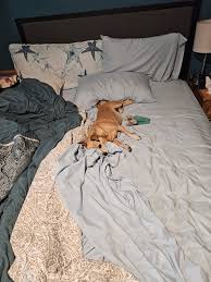 As many of you know, a major wildfire is burning on Navajo Nation. At last report, the fire was at 0% containment and spreading. With windy and breezy weather it is spreading