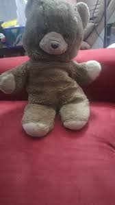 Can you identify this Teddy bear? : r/ToyID