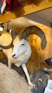 Had to swing by @barneyssportschalet to do a little shopping ...