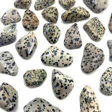 Dalmatian Stone, Tumbled Dalmatian Stone, Dalmatian ...