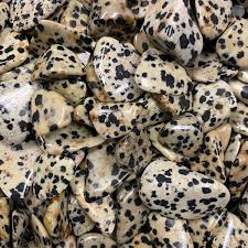 Dalmatian Jasper Medium Tumbled Stone - Mystic Valley