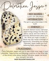 Dalmatian Jasper Tumbled Pocket Stone - Rocks with Sass