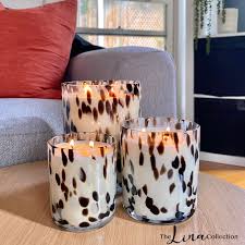 M Dalmatian Jar — The Lina Collection