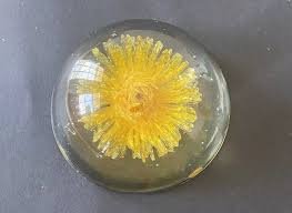 Vintage Marigold Lucite Paperweight 4” Diameter Round Yellow Flower Foot Pads | eBay