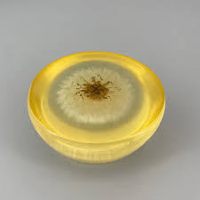 Vintage 1950s Large Dandelion in Resin Domed Paperweight Mid-century Desktop Sculpture Decor - Etsy