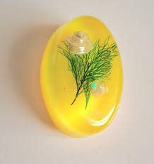 Vintage,mid Century Modern, Sea World Lucite Brooch - Etsy