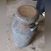Vintage 10-gallon milk can with French Bauer lid. - Northern ...