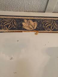 Do any one know how to take borders down. My granma must of ...