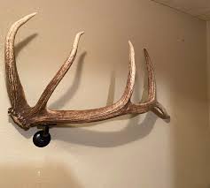 Real Elk Antler Towel Coat Hat Rack Bathroom Rustic ...