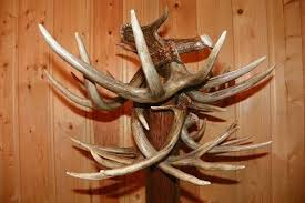 Antler Coat Rack - Freestanding - Antler and Wood Creations LLC