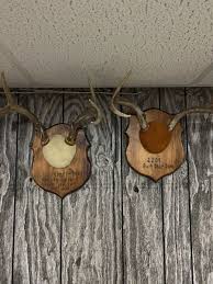 Deer Antler wall plaque handmade with LASER ENGRAVED Buck Head | eBay