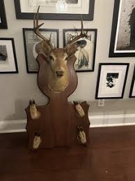 Big Deer Antlers | eBay
