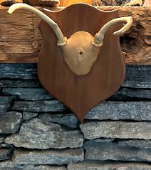 Buy Vintage Small Deer Antlers Mounted on Wood Shield, Natural Animal Plaque, Man Cave, Rustic Home Decor, Bones, Skulls, Curiosities, REDUCED Online in India - Etsy
