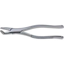 Stainless Steel Extraction Forceps #222 - Dental Wholesale ...