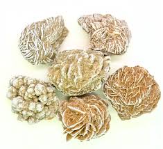 Earth Science | Geology | Desert Rose Crystal Specimen | GeoKidz