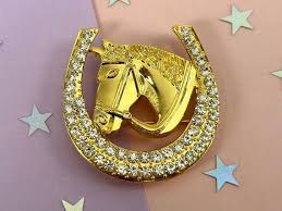 Horseshoe Brooch, Charro Brooch, Rhinestone Horseshoe Brooch ...
