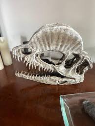 Giant Dilophosaurus Skull - Etsy