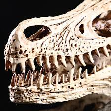 Big Dinosaur Skull Resin Decoration Raptor Animal Bones for ...