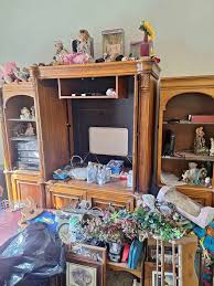 我們沒有衣櫃,但我找到了這個舊的電視櫃: r/DIY