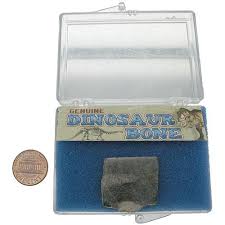 Dinosaur Bone - Walmart.com