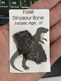 “gift shop” style dinosaur bone chunk from jurassic utah. i know the hunk isn't diagnostic on its own, but are there particular sorts of fossils that are usually made into souvenirs like this? : r/fossilid