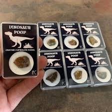 1 X Fossil Box Fragment Of Ossified Tendon Of Hadrosaur From Hell Creek USA | eBay