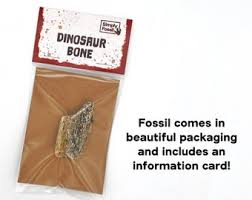 Real Dinosaur Bone | Great Christmas Gift! - Etsy