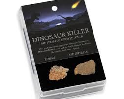 Dinosaur Killer Meteorite & Fossil Gift Pack - Etsy