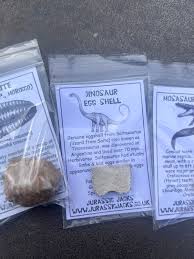 Fossil Collection With Mosasaur Tooth, Dinosaur Bone, Dinosaur Poo, Dinosaur Eggshell Real Prehistoric Fossils - Etsy