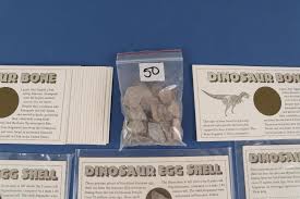 Sold at Auction: MISCELLANEOUS | WORLD | Fossils: Dinosaur Bone Fragments f