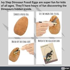 Ivy Step: Dinosaur Fossil Eggs - Amazon.com