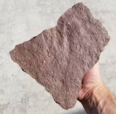 High Grade Dinosaur Footprint, Triassic, Dinosaur, Trace ...