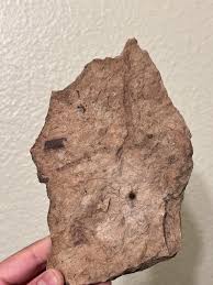 Is this a fossil? : r/fossils