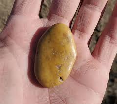 Ripe Banana" Pocket Rock Worry Stone - Dino Etc
