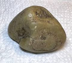 Utah Dinosaur gastrolith (stomach stone or gizzard stone ...
