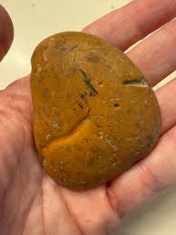 Rock found in NE Alabama : r/whatsthisrock